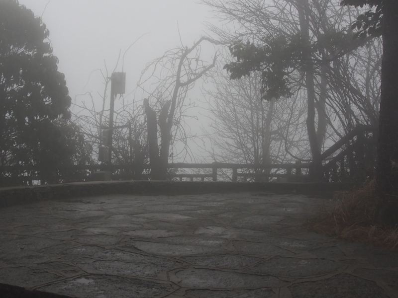Галопом по Китаю. Гуанчжоу-Гулинь-Яншо-Гуйлинь-Чжандзанце-Гуанчжоу за 8 дней.