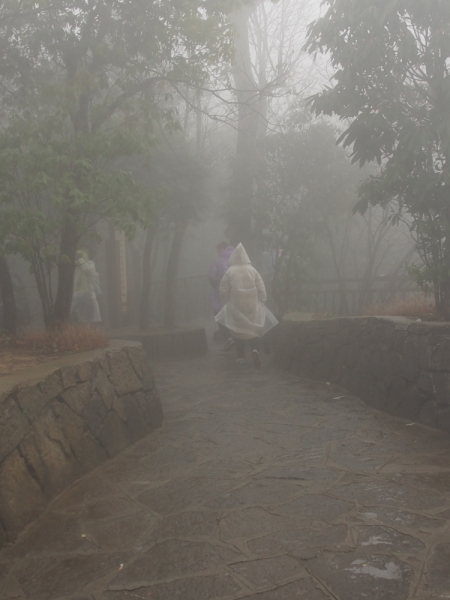 Галопом по Китаю. Гуанчжоу-Гулинь-Яншо-Гуйлинь-Чжандзанце-Гуанчжоу за 8 дней.