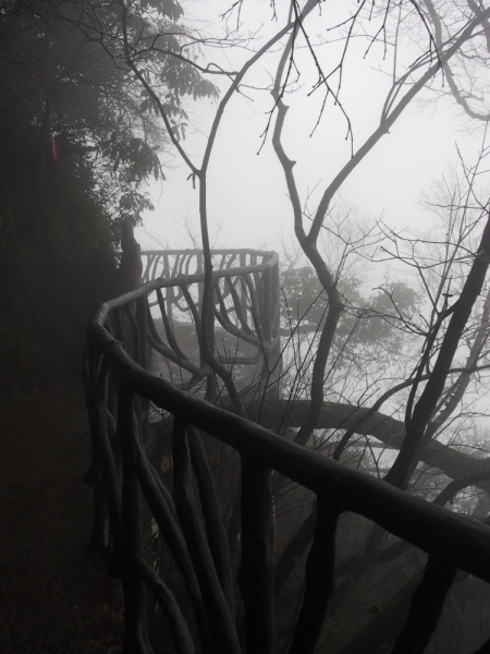 Галопом по Китаю. Гуанчжоу-Гулинь-Яншо-Гуйлинь-Чжандзанце-Гуанчжоу за 8 дней.