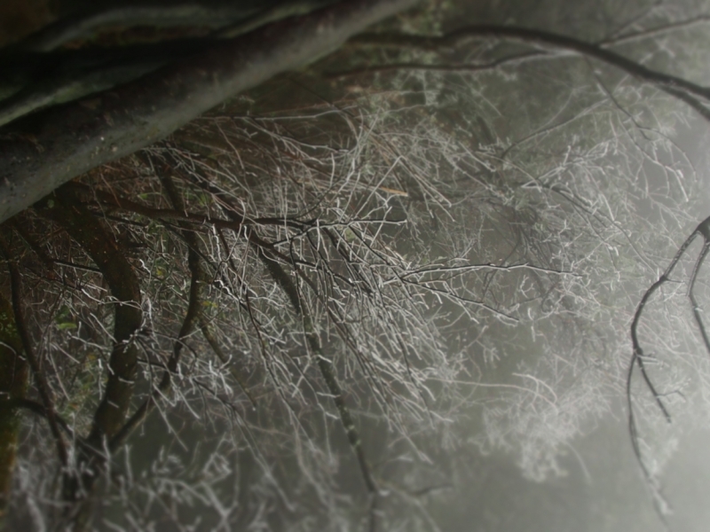 Галопом по Китаю. Гуанчжоу-Гулинь-Яншо-Гуйлинь-Чжандзанце-Гуанчжоу за 8 дней.