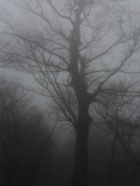 Галопом по Китаю. Гуанчжоу-Гулинь-Яншо-Гуйлинь-Чжандзанце-Гуанчжоу за 8 дней.