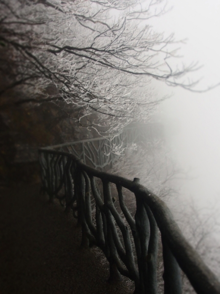 Галопом по Китаю. Гуанчжоу-Гулинь-Яншо-Гуйлинь-Чжандзанце-Гуанчжоу за 8 дней.