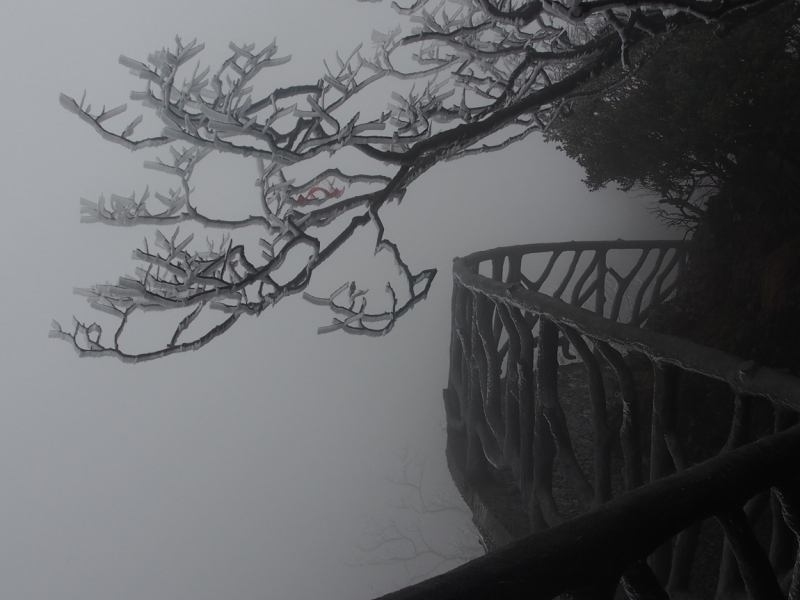 Галопом по Китаю. Гуанчжоу-Гулинь-Яншо-Гуйлинь-Чжандзанце-Гуанчжоу за 8 дней.
