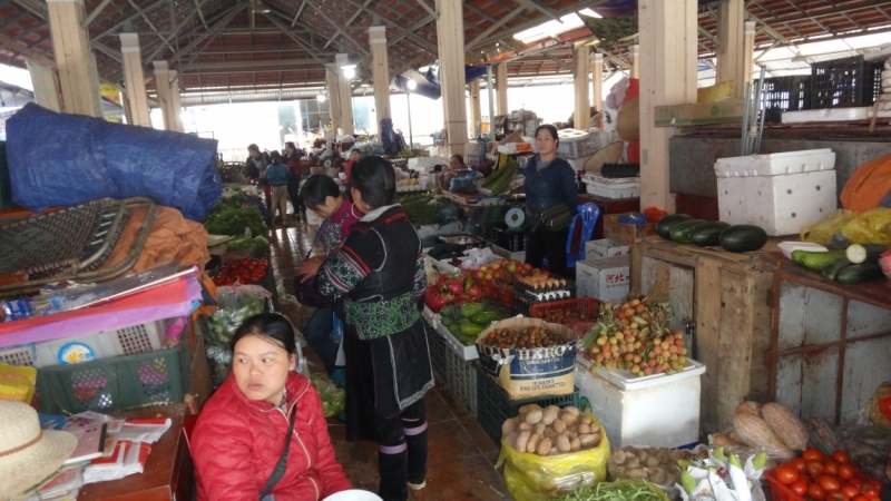 Северный Вьетнам.Ha Noi-Sapa-Mu Cang Chai-Cat Ba-Nha Trang-Ho Chi Minh Северный Вьетнам.Ha Noi-Sapa-Mu Cang Chai-Cat Ba-Nha Trang-Ho Chi Minh