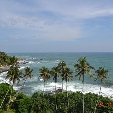 Она ждала нас! Наша Шри Ланка, ноябрь 2016