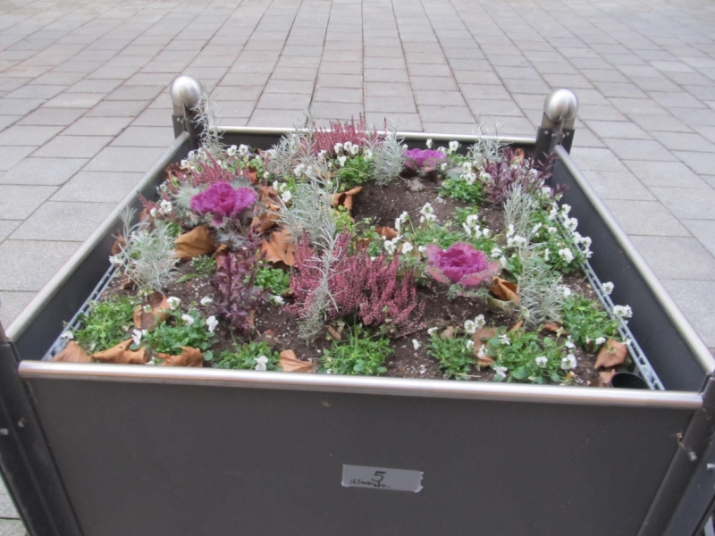 Зимний Альгой и окрестности (Мемминген, Ульм, Диллинген), без машины. Декабрь 2016.