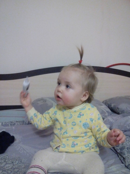 Поговорим о кошках 42