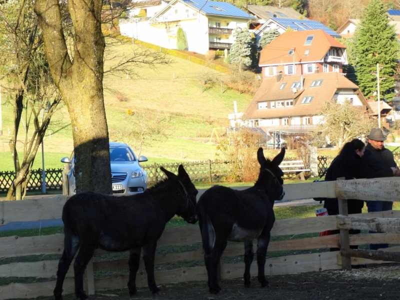 Рождественские ярмарки Германии и Эльзаса 2016 (Кайзерсберг, Риквир, Фрайбург, Ротвайль, Оберне, выставка рождественских яслей)