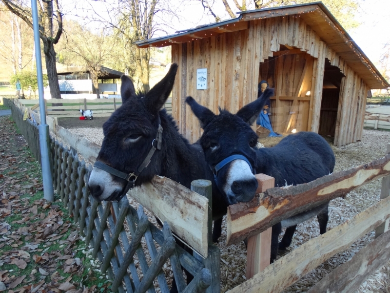 Рождественские ярмарки Германии и Эльзаса 2016 (Кайзерсберг, Риквир, Фрайбург, Ротвайль, Оберне, выставка рождественских яслей)