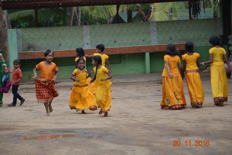 Она ждала нас! Наша Шри Ланка, ноябрь 2016