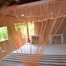 Она ждала нас! Наша Шри Ланка, ноябрь 2016