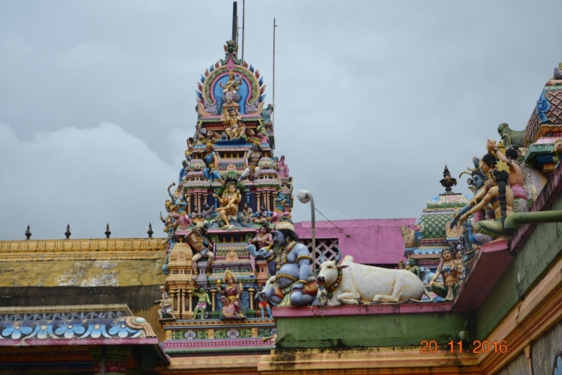 Она ждала нас! Наша Шри Ланка, ноябрь 2016