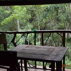 Она ждала нас! Наша Шри Ланка, ноябрь 2016