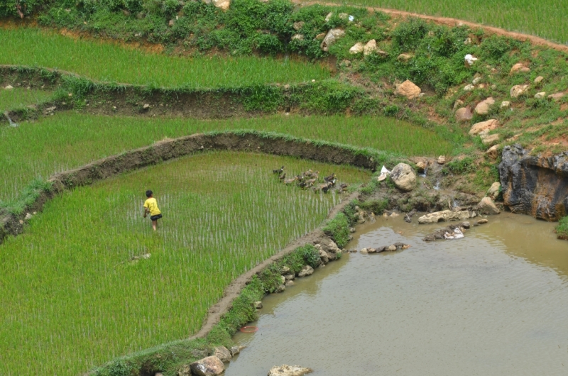 Северный Вьетнам.Ha Noi-Sapa-Mu Cang Chai-Cat Ba-Nha Trang-Ho Chi Minh