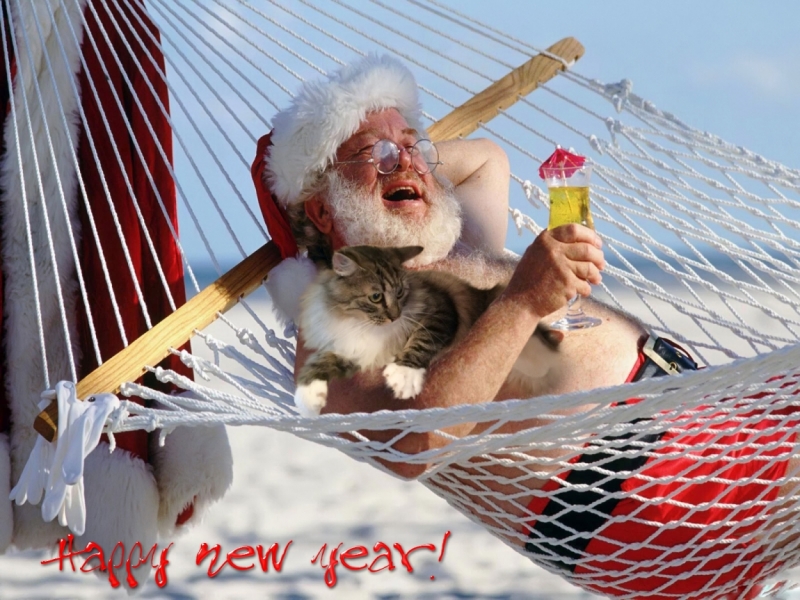 Поговорим о кошках 42