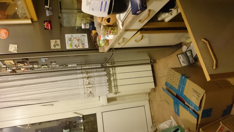 Поговорим о кошках 42