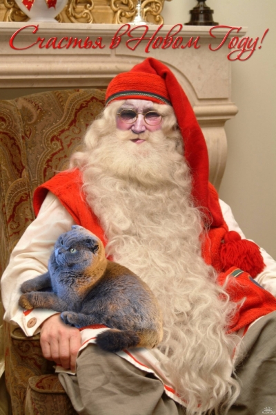 Поговорим о кошках 42