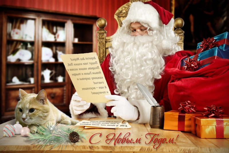 Поговорим о кошках 42