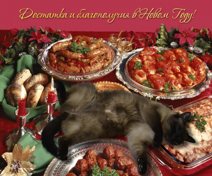 Поговорим о кошках 42