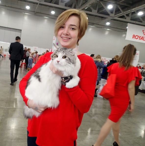 Поговорим о кошках 42