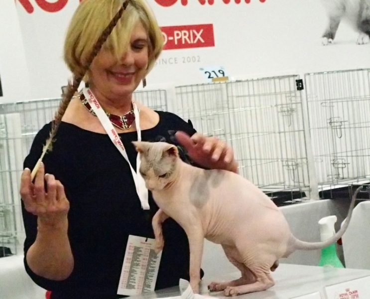 Поговорим о кошках 42