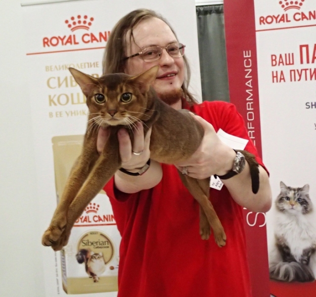 Поговорим о кошках 42