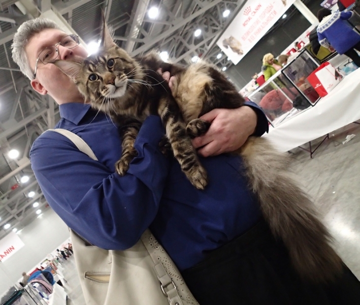 Поговорим о кошках 42