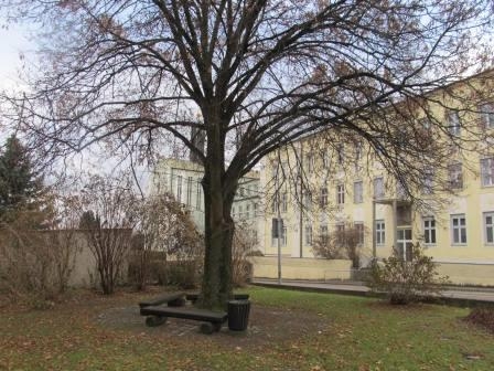 Зимний Альгой и окрестности (Мемминген, Ульм, Диллинген), без машины. Декабрь 2016.