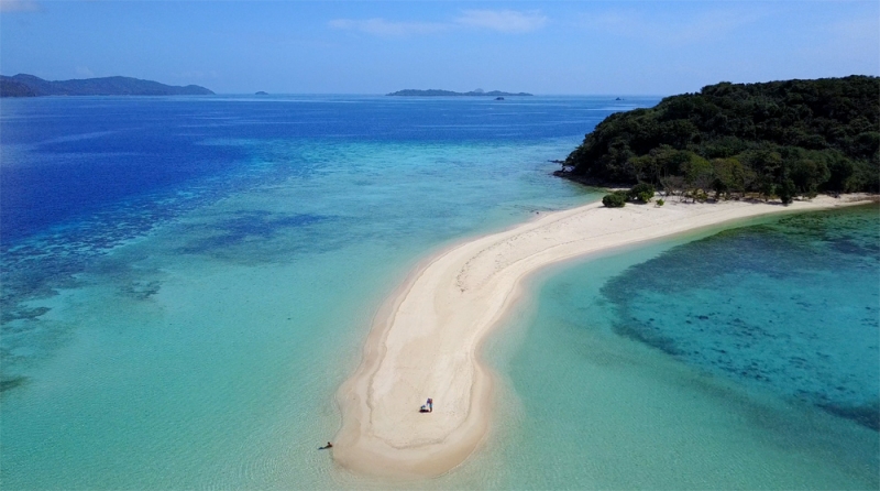 Дитейтаян бич