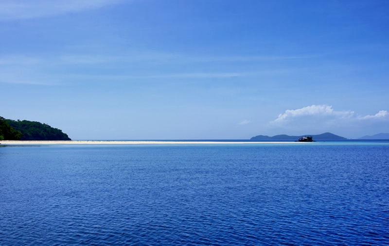 Дитейтаян бич