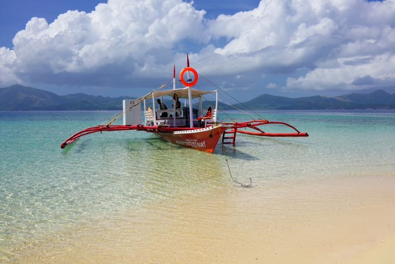 Дитейтаян бич