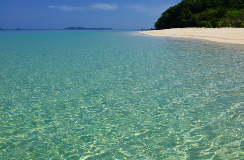 Дитейтаян бич