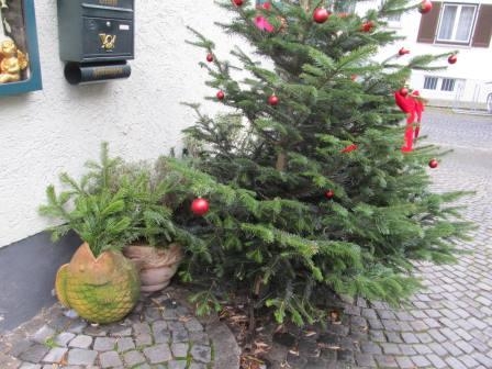 Зимний Альгой и окрестности (Мемминген, Ульм, Диллинген), без машины. Декабрь 2016.