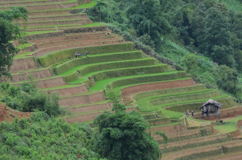 Северный Вьетнам.Ha Noi-Sapa-Mu Cang Chai-Cat Ba-Nha Trang-Ho Chi Minh