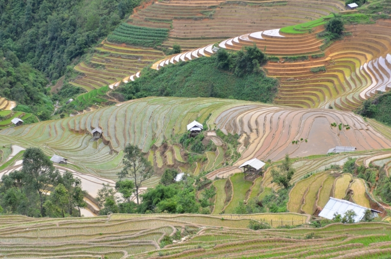 Северный Вьетнам.Ha Noi-Sapa-Mu Cang Chai-Cat Ba-Nha Trang-Ho Chi Minh