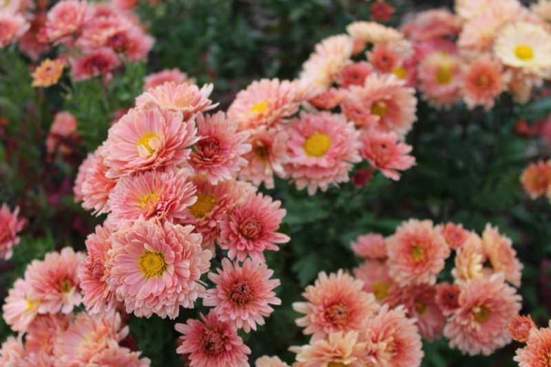 Октябрьский Крым, наш двухнедельный отпуск