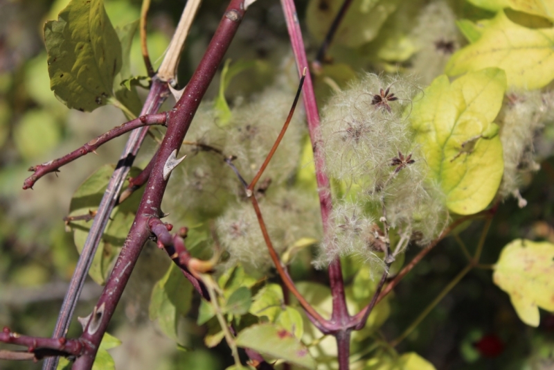 Октябрьский Крым, наш двухнедельный отпуск