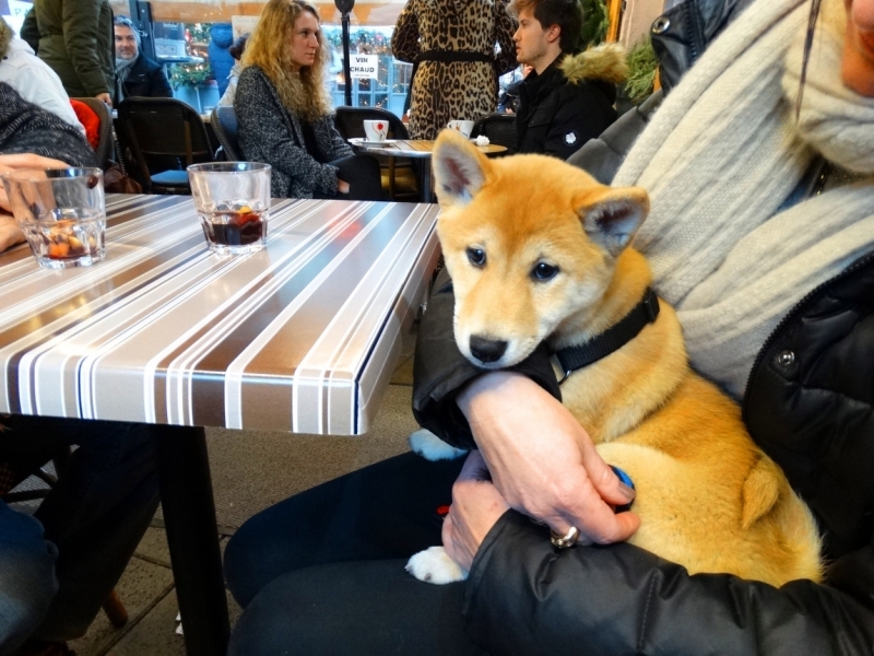 Рождественские ярмарки Германии и Эльзаса 2016 (Кайзерсберг, Риквир, Фрайбург, Ротвайль, Оберне, выставка рождественских яслей)