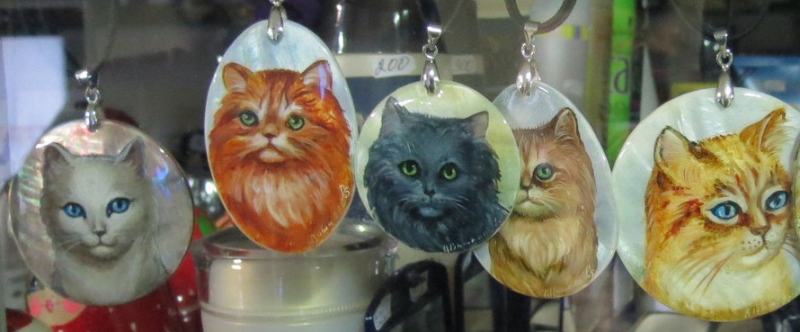 Поговорим о кошках 42