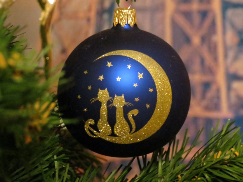 Поговорим о кошках 42