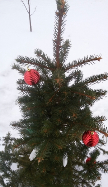 Провожаем 2016! Встречаем 2017!!!