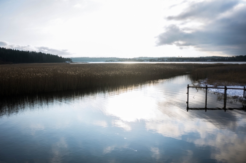 Фотоотчёт Карелия Сортавала, остров Койонсаари ноябрь 2016