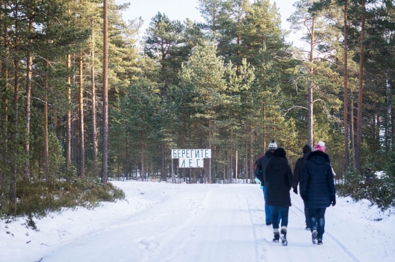 Фотоотчёт Карелия Сортавала, остров Койонсаари ноябрь 2016