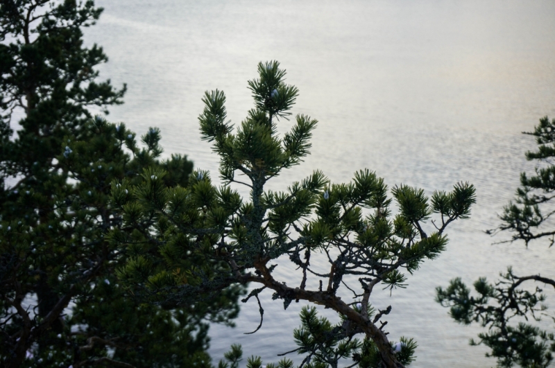 Фотоотчёт Карелия Сортавала, остров Койонсаари ноябрь 2016