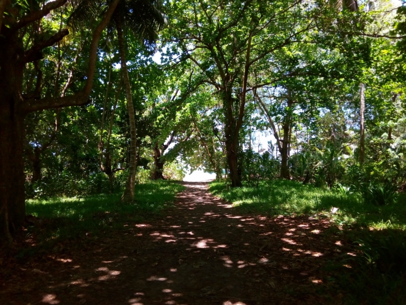 Маэ, октябрь 2016, всего 8 дней или есть где-то наш рай на Земле