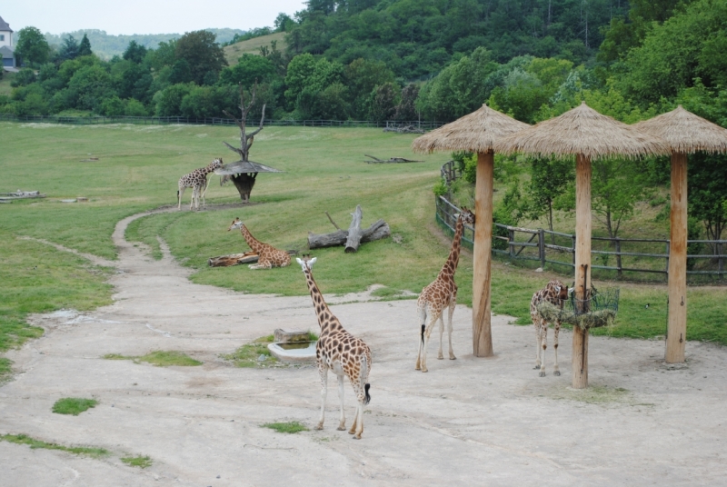 Первый раз в Европе, бюджетно, Чехия-Италия-Австрия, с детьми
