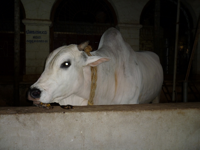 Бабуся, Динамо и излишества всякие нехорошие.