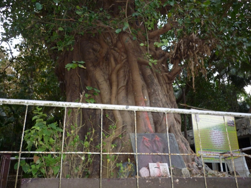 Бабуся, Динамо и излишества всякие нехорошие.