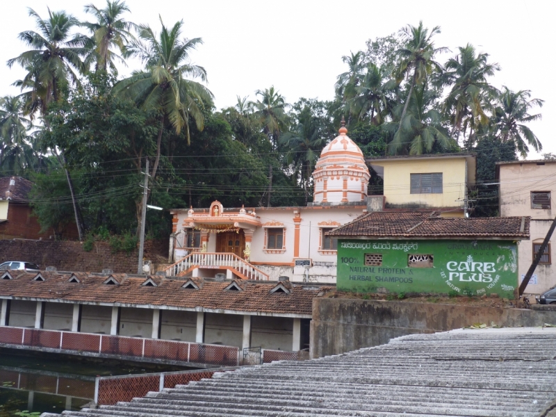 Бабуся, Динамо и излишества всякие нехорошие.