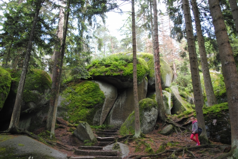 Первый раз в Европе, бюджетно, Чехия-Италия-Австрия, с детьми